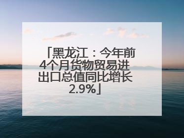 黑龙江：今年前4个月货物贸易进出口总值同比增长2.9%