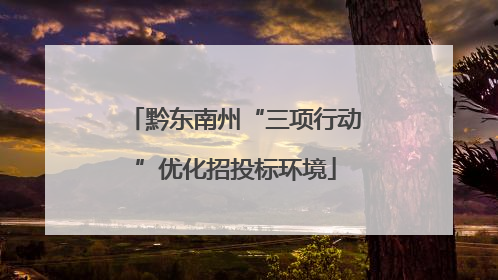 黔东南州“三项行动”优化招投标环境