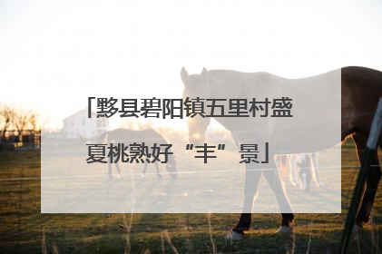 黟县碧阳镇五里村盛夏桃熟好“丰”景