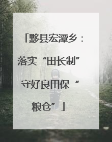 黟县宏潭乡：落实“田长制” 守好良田保“粮仓”