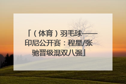 （体育）羽毛球——印尼公开赛：程星/张驰晋级混双八强