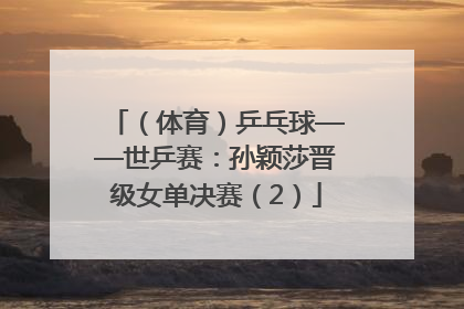 （体育）乒乓球——世乒赛：孙颖莎晋级女单决赛（2）