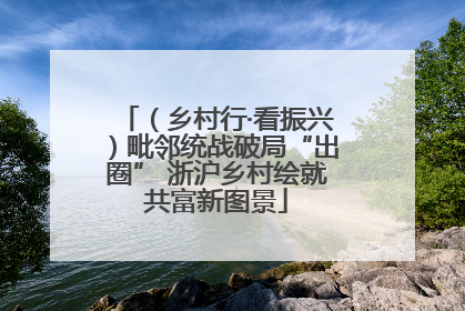（乡村行·看振兴）毗邻统战破局“出圈” 浙沪乡村绘就共富新图景