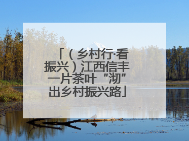 （乡村行·看振兴）江西信丰一片茶叶“沏”出乡村振兴路