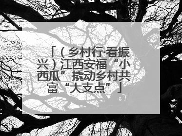 （乡村行·看振兴）江西安福“小西瓜”撬动乡村共富“大支点”