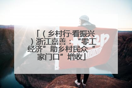 （乡村行·看振兴）浙江嘉善：“零工经济”助乡村民众“家门口”增收