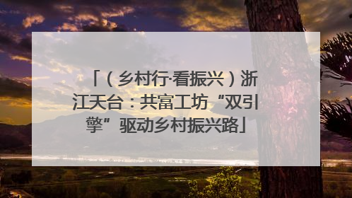 （乡村行·看振兴）浙江天台：共富工坊“双引擎”驱动乡村振兴路