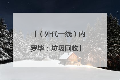 （外代一线）内罗毕：垃圾回收