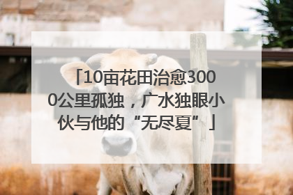 10亩花田治愈3000公里孤独，广水独眼小伙与他的“无尽夏”