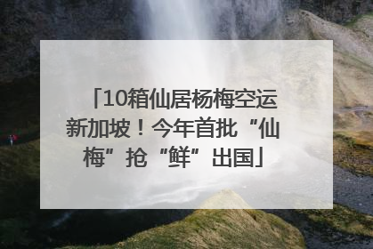 10箱仙居杨梅空运新加坡！今年首批“仙梅”抢“鲜”出国
