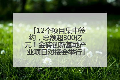 12个项目集中签约，总额超300亿元！金砖创新基地产业项目对接会举行