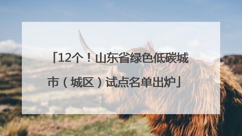 12个！山东省绿色低碳城市（城区）试点名单出炉