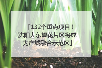 132个重点项目！沈阳大东望花片区将成为产城融合示范区