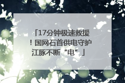 17分钟极速救援！国网石首供电守护江豚不断“电”