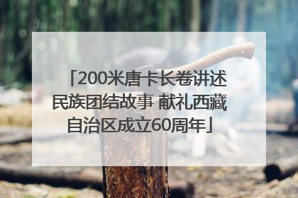200米唐卡长卷讲述民族团结故事 献礼西藏自治区成立60周年