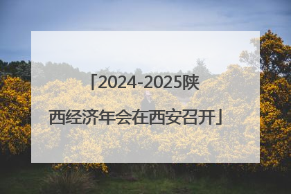 2024-2025陕西经济年会在西安召开