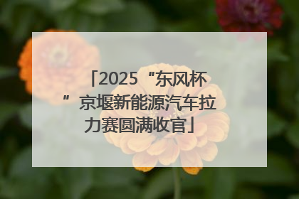 2025“东风杯”京堰新能源汽车拉力赛圆满收官