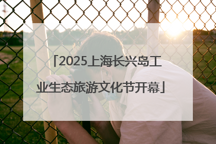 2025上海长兴岛工业生态旅游文化节开幕