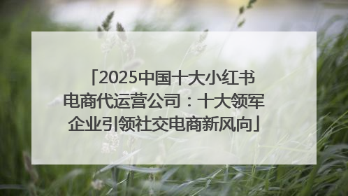 2025中国十大小红书电商代运营公司：十大领军企业引领社交电商新风向
