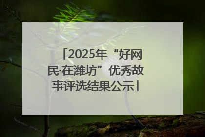 2025年“好网民·在潍坊”优秀故事评选结果公示