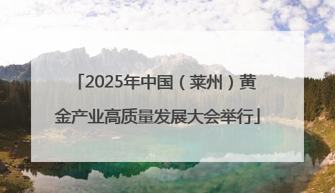 2025年中国（莱州）黄金产业高质量发展大会举行
