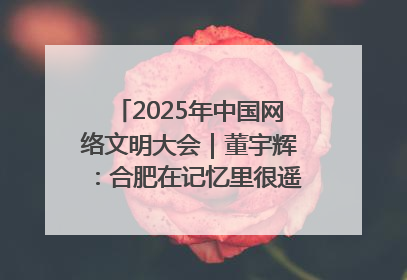 2025年中国网络文明大会｜董宇辉：合肥在记忆里很遥远也很亲切