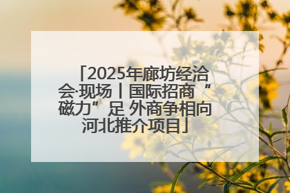 2025年廊坊经洽会·现场丨国际招商“磁力”足 外商争相向河北推介项目