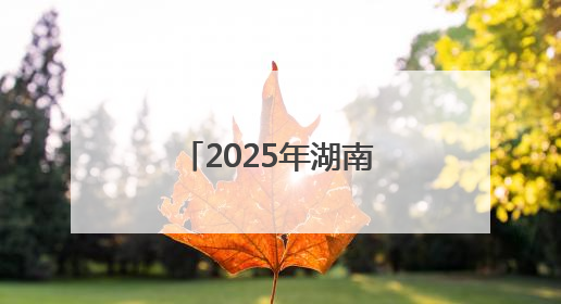 2025年湖南省乡村文化旅游节联动地暨金洞村k友谊赛启幕