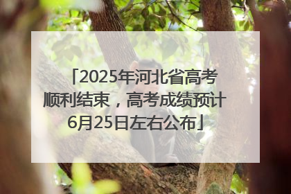 2025年河北省高考顺利结束，高考成绩预计6月25日左右公布