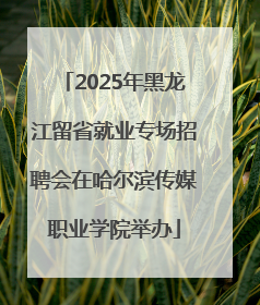 2025年黑龙江留省就业专场招聘会在哈尔滨传媒职业学院举办