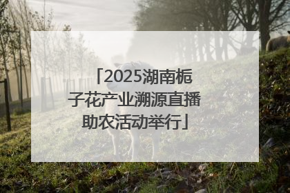 2025湖南栀子花产业溯源直播助农活动举行