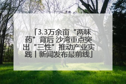 3.3万余亩“两味药”背后 沙湾重点突出“三性”推动产业实践丨新闻发布最前线