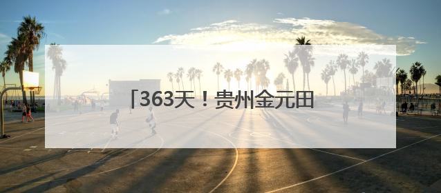 363天！贵州金元田林风电全容量并网发电