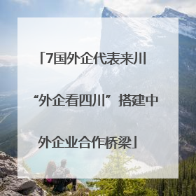 7国外企代表来川 “外企看四川”搭建中外企业合作桥梁