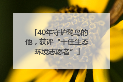 40年守护鹭鸟的他，获评“十佳生态环境志愿者”