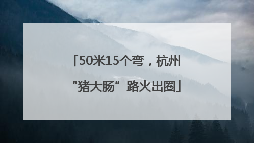 50米15个弯，杭州“猪大肠”路火出圈