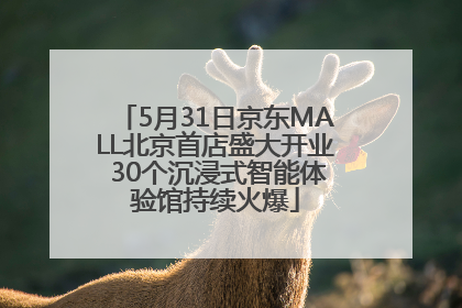 5月31日京东MALL北京首店盛大开业 30个沉浸式智能体验馆持续火爆