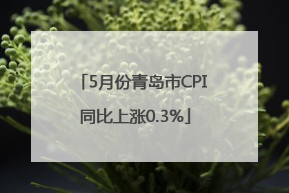 5月份青岛市CPI同比上涨0.3%