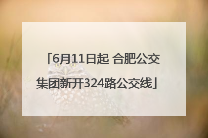 6月11日起 合肥公交集团新开324路公交线