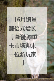 6月销量翻倍式增长，新能源重卡市场迎来一位新玩家