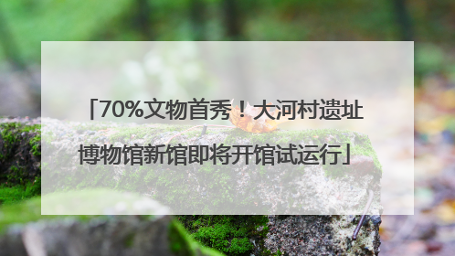 70%文物首秀！大河村遗址博物馆新馆即将开馆试运行