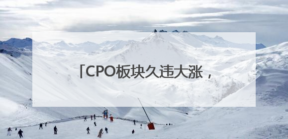 CPO板块久违大涨，“易中天”谁更胜一筹