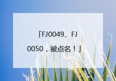 FJ0049、FJ0050，被点名！